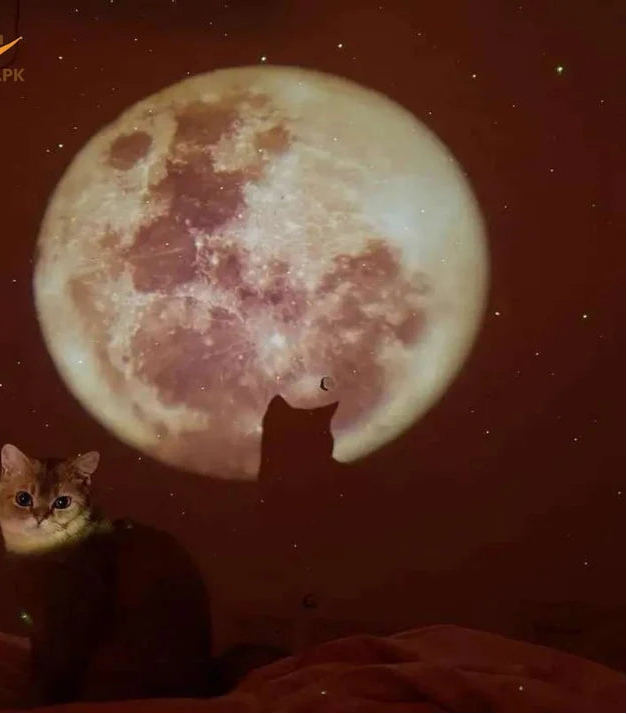 Mini Projection Lamp with 2 Films - Portable Starry Sky Night Light Projector for Kids & Adults